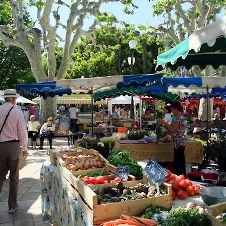 Avec Jardin Dans Rocaille