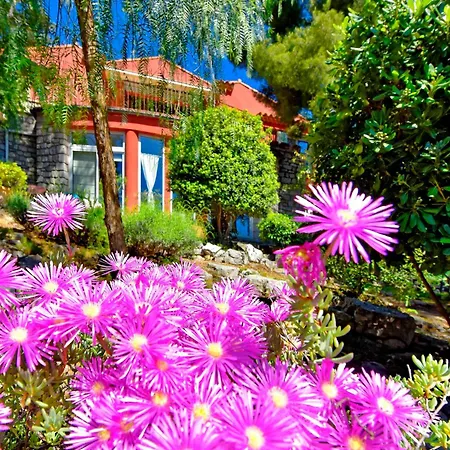 Apartment Avec Jardin Dans Rocaille